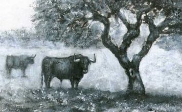 Obra de Fernando Naranjo Durán.